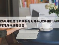纹身用的是什么颜料分好坏吗,纹身用什么颜料对身体没有伤害