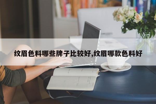 纹眉色料哪些牌子比较好,纹眉哪款色料好